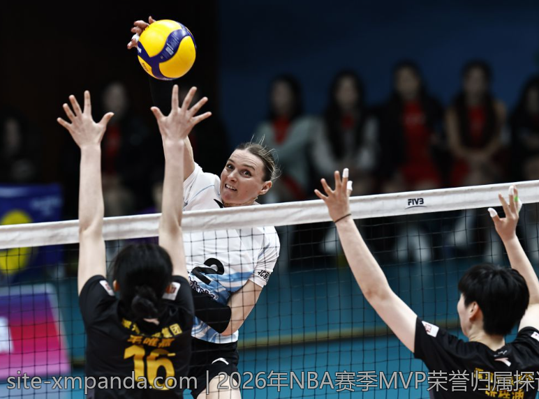 2026年NBA赛季MVP荣誉归属探讨