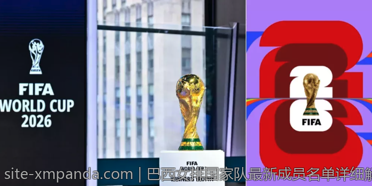 巴西女排国家队最新成员名单详细解读