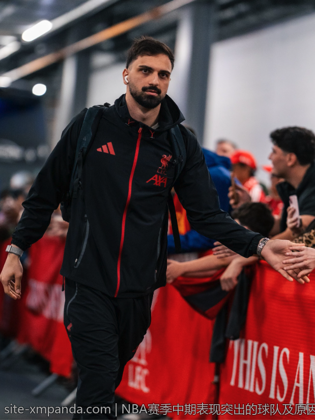 NBA赛季中期表现突出的球队及原因解析