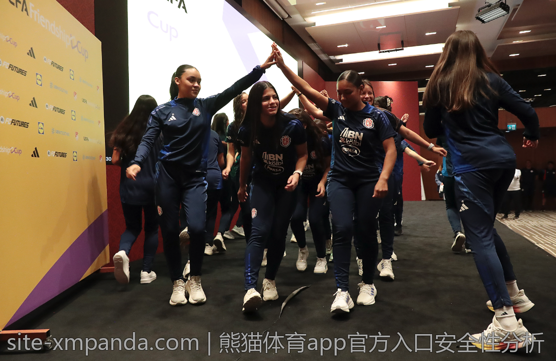 熊猫体育app官方入口安全性分析