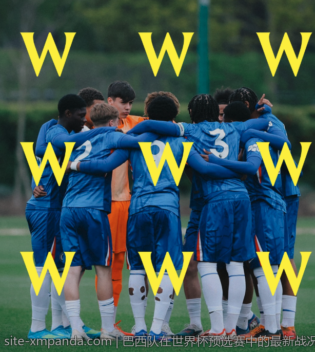巴西队在世界杯预选赛中的最新战况解析